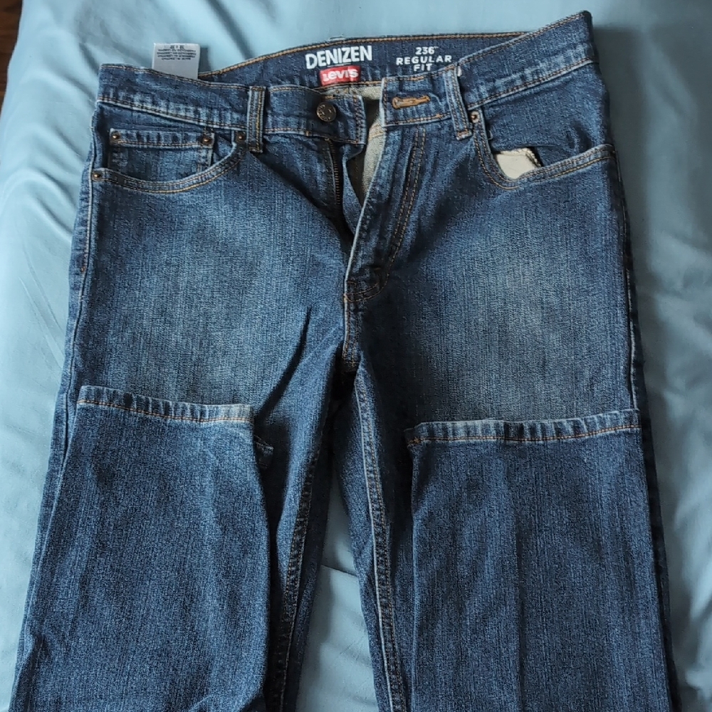 Denizen from Levi's Men's Straight Denim Jeans